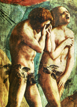 Parole brutte   (Loja àscima) loja ascima