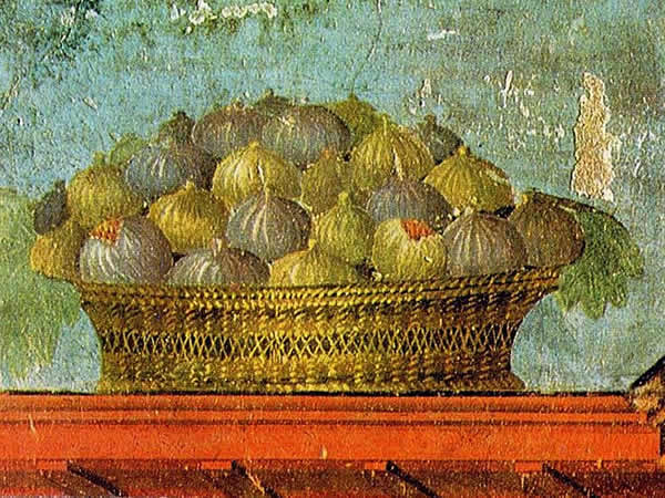 Fiaba 9 - Un paniere di fichi per la figlia del re (O kunto ma ta sika) un paniere di fichi…