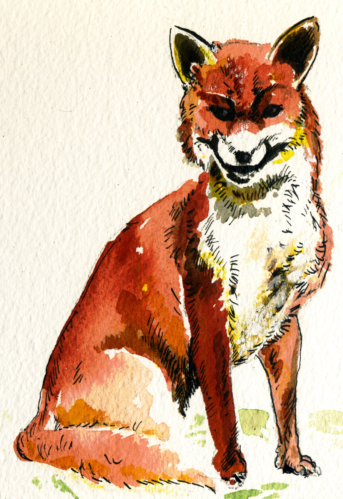 volpe[1]