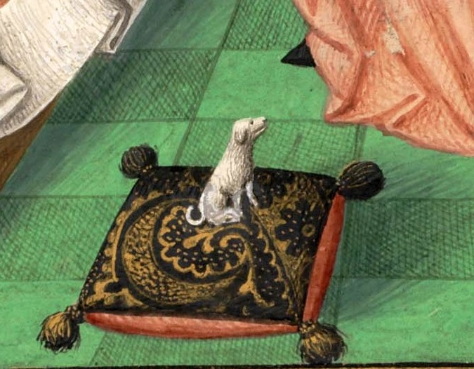 Fiaba 34 - La cagnolina per moglie (O kunto mi’ sciddhutza) 34 cagnolina