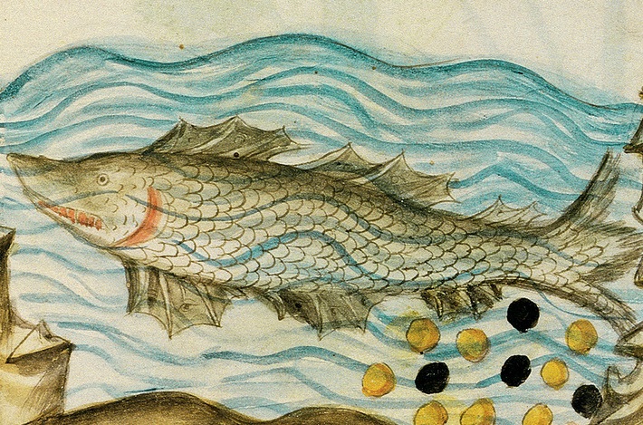 Fiaba 37 - Testa e coda di pesce   (O kunto m'afsari) 37 pesce