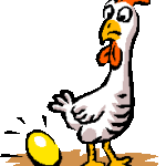 gallina