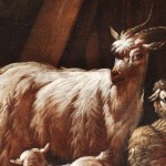 Massime di vita (6) proverbi capra